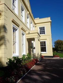 The Lawn